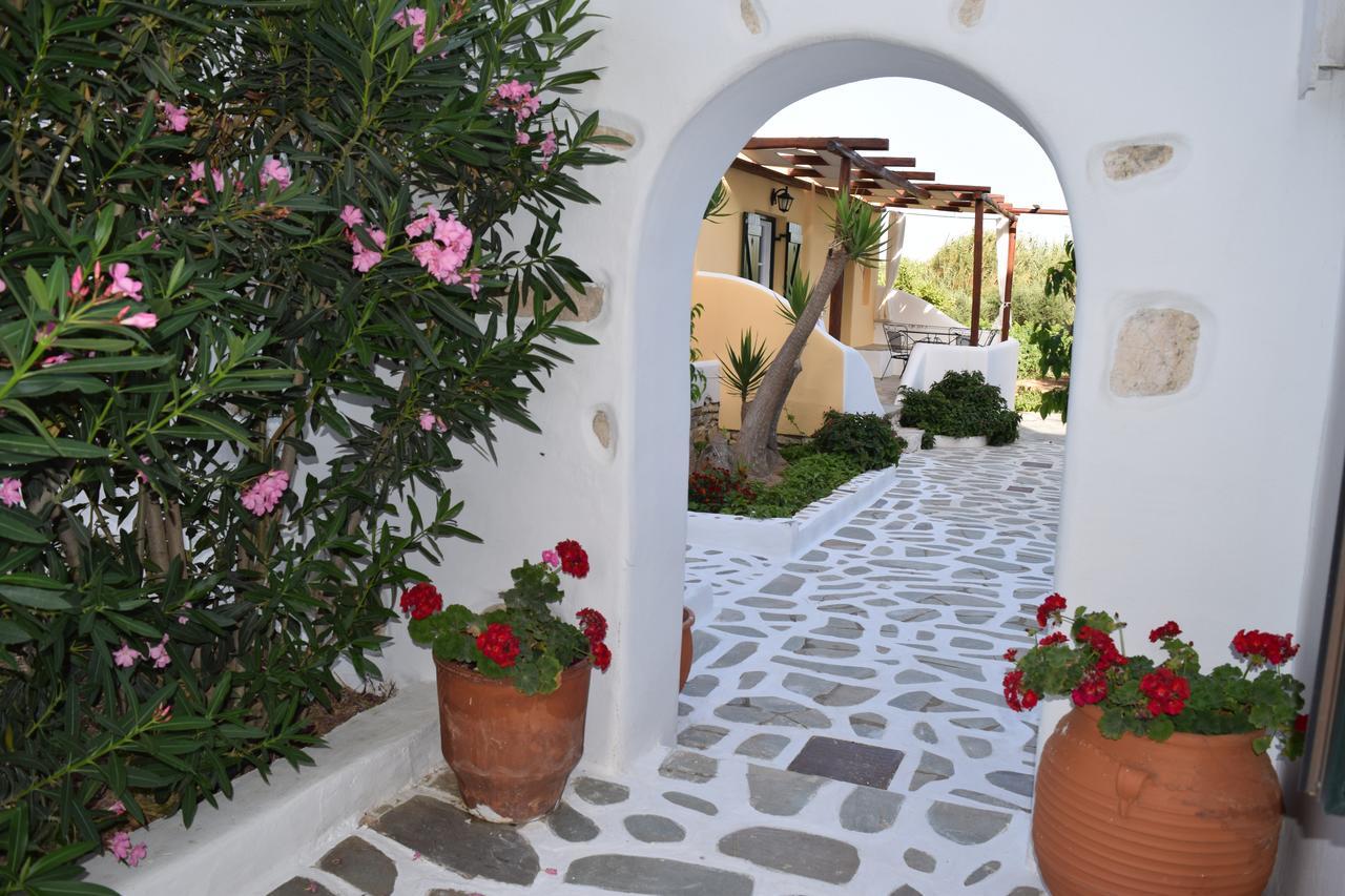 Tzane Studios & Apartments - Steps Away From Golden Beach Chrisi Akti  Esterno foto