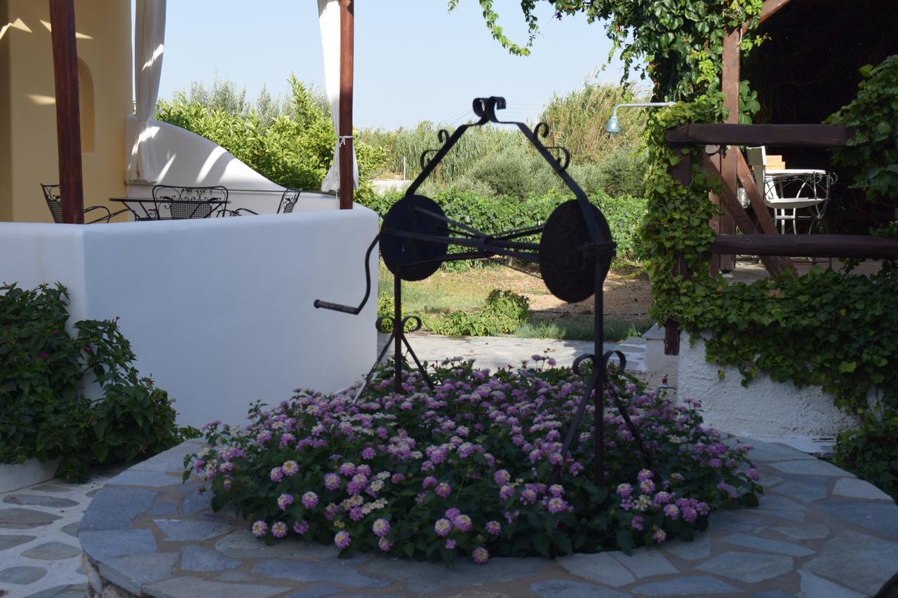 Tzane Studios & Apartments - Steps Away From Golden Beach Chrisi Akti  Esterno foto